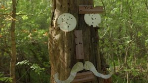 Весенний лес