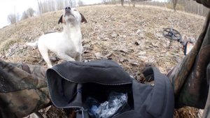 отдых на природе с металлоискателем и собакой .