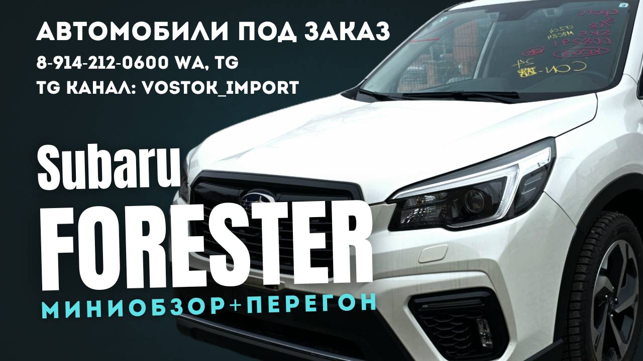 SUBARU FORESTER миниобзор + перегон! Автомобили под заказ! #автоподзаказ #автосаукционов #подпишись
