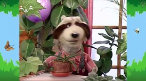 Утро в Шишкином Лесу. Зимний сад. Столетник