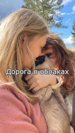 Дорога в облаках