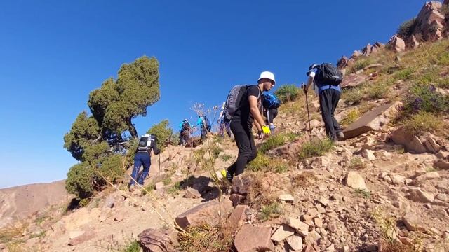 Пик ШАХТЁР 3190m от 14.08.22 смотреть онлайн