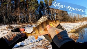 Еле унёс ноги с рыбалки. Окуни на Nano One SE.