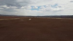 Посевная 02.05.2025