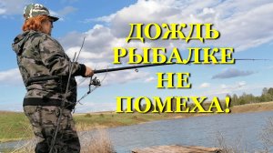 Рыбалка на пруду! Дождь рыбалке не помеха! Танки грязи не боятся! #рыбалка #карп #карась #fishing