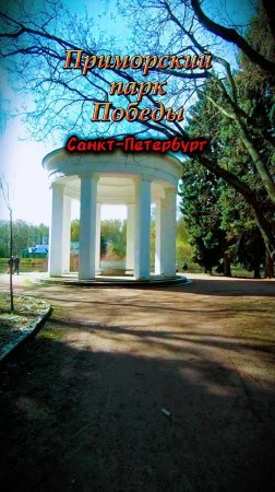Ко мне пришла белочка "Тимон". Прогулка по Крестовскому острову, часть 2.