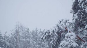 Снежная погода зима футаж