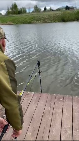 1000054009.mp4