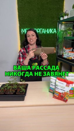Ваша рассада никогда не завянет, если использовать это
