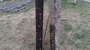 Забор из горбыля после зимы.  Выстоял...