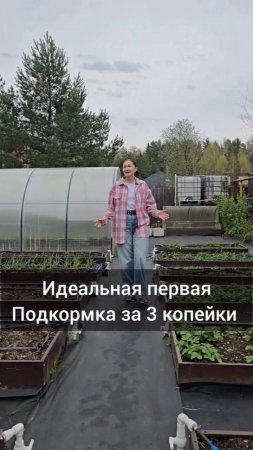 Идеальная первая подкормка для сада и огорода весной