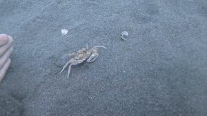 Туда - Сюда )