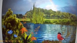 рЫма чек -одних в бан , других учит , что смотреть