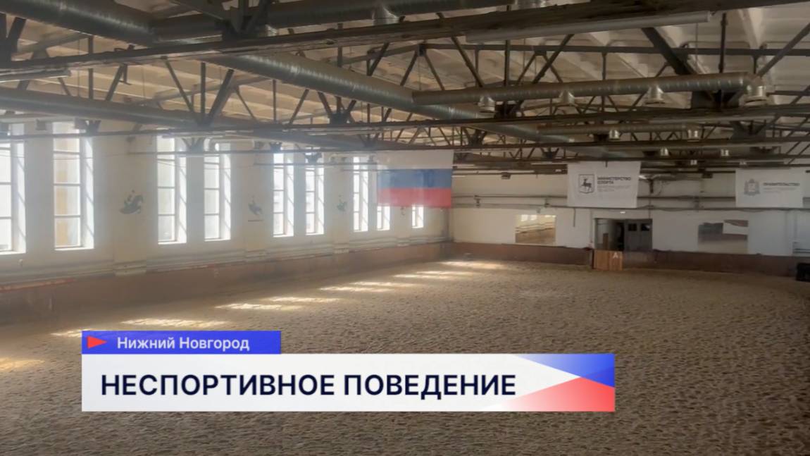Жестоко избили лошадь в спортшколе Нижнего Новгорода