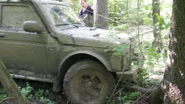 Нива (Рысь 178)