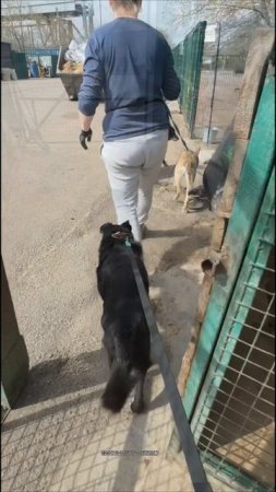 Мы на выгуле