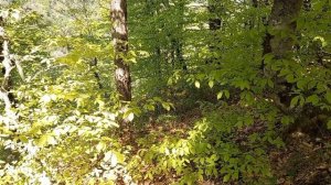 Красная поляна,маршрут "Кругозор Ефремова"5 мая 2025год.