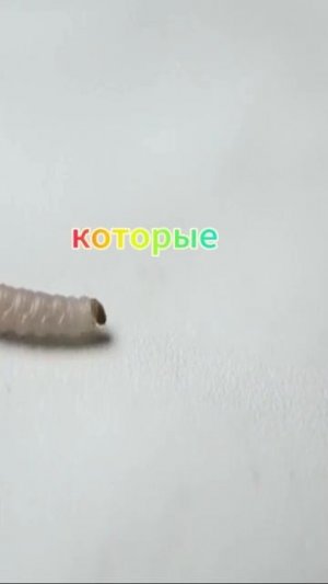 Секрет похудения раньше