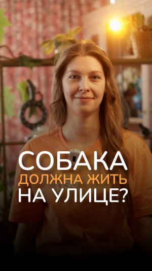 Миф: собака должна жить на улице. 😱