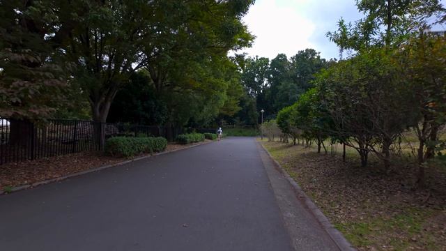 Японская гармония: Сад, где забываешь что ты в Токио! 🌿 4K релакс