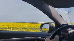 VID_20250505_105221_915.mp4