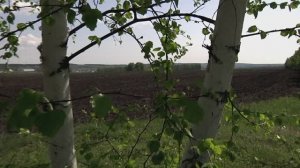 " Матушка земля ... " Музыкальная шкатулка