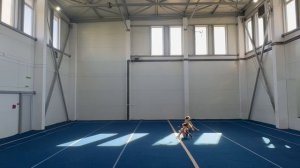 ЖП 2 спортивный, Журавлёва Милана - Ткаченко Марина, ШСА ОСЬ, Балансовое упражнение