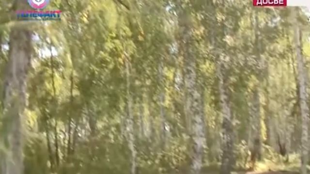 Телефакт от 22 06 2018 смотреть онлайн