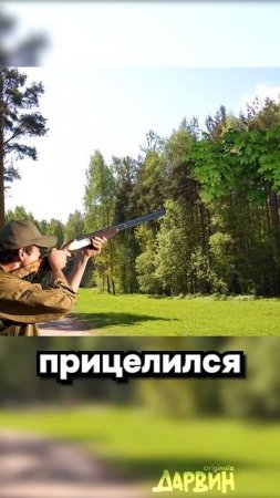 история ,охотник  потсрелил друга по ошыбке ???? или нет