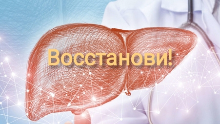Как восстановить ПЕЧЕНЬ дома?