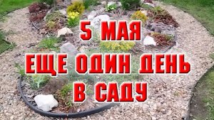 5 мая. Еще один день в саду