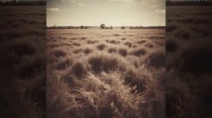 Роберт Рождественский — Что же такое «мы» (вар1)