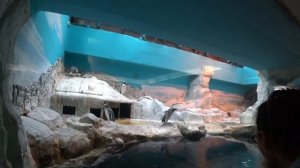 Московский зоопарк. Лето 2024.Цены.Советы.Как добраться.