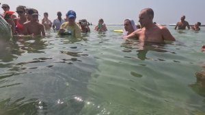 ШРИ ЛАНКА 2024. ЧЕРЕПАШКИ В ИНДИЙСКОМ ОКЕАНЕ. Часть 4