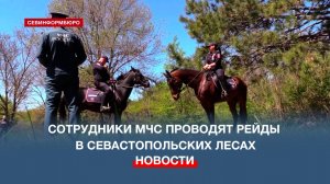 Сотрудники МЧС, лесничества и конной полиции проводят рейды в севастопольских лесах