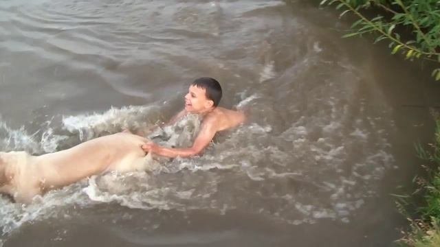 золотистый ретривер врождённый спасатель
