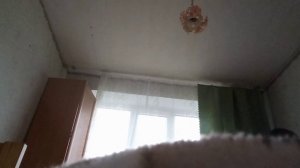 Школьная утро!!!