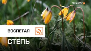 Металлурги ТАГМЕТа приняли участие в экофестивале