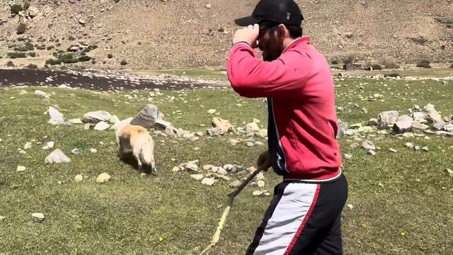 В горах Памира 🇹🇯. Нарзан. смотреть онлайн