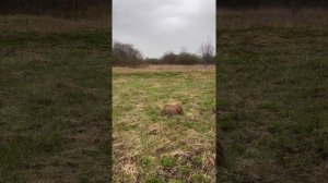 Идем на второй шалаш