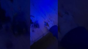 2 сезон 18 серия ядовитая сходка