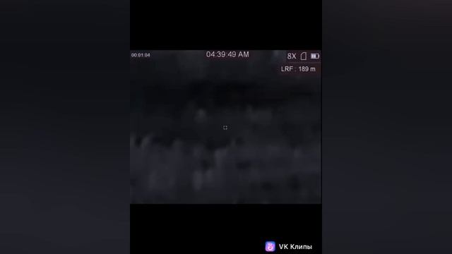 спецоперация ZOV.mp4