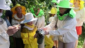 Как пчелы на мед: туризм на пасеке Романовых под Новосибирском