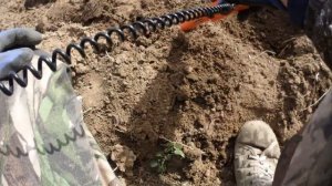 Весенний коп  с собакой 🐕.