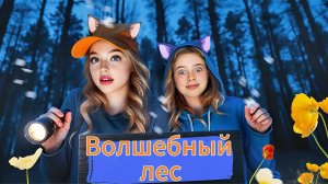 Приключения в волшебном лесу!