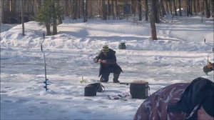 Поимки и сходы на Спорт-зоне. Клёвое место Лосиный остров.