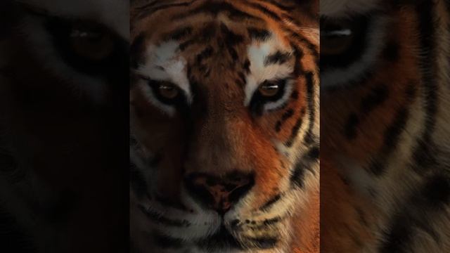 Tiger Speed Paint