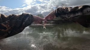 На эту снасть клюет на каждом забросе!Первый опыт в мормышке.Поплавочники в недоумении!