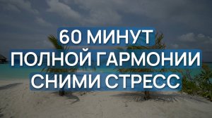60 минут чистой гармонии. Музыка для релакса, сна и медитации. Сними стресс и почувствуй покой.