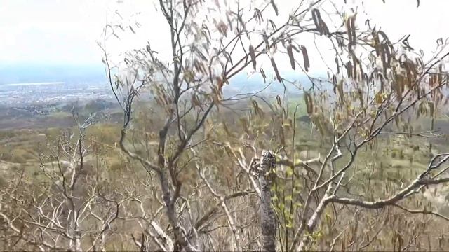 Бештау смотреть онлайн